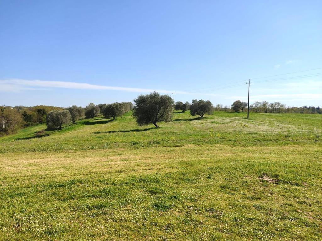 Podere San Giuseppe Acquapendente Esterno foto